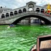 il-canal-grande-e-verde-fosforescente