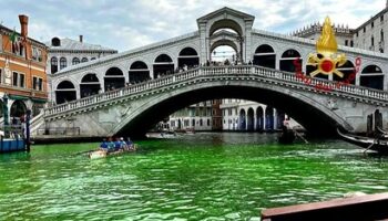 il-canal-grande-e-verde-fosforescente