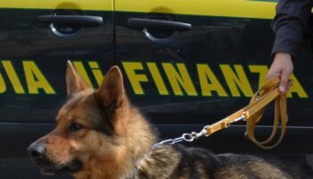 in-italia-un’asse-cina-ndrangheta-gestiva-un-fiume-di-droga-e-soldi