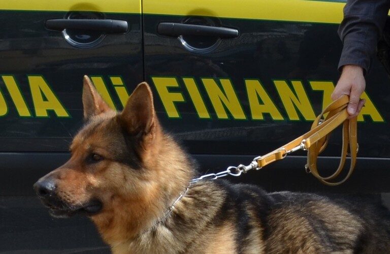 in-italia-un’asse-cina-ndrangheta-gestiva-un-fiume-di-droga-e-soldi