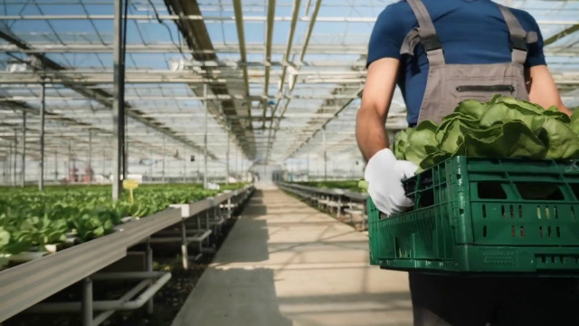 un’impresa-agricola-su-4-investira-nel-digitale-entro-il-2024