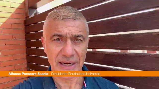 pecoraro-scanio-“la-tutela-dell’ambiente-nello-statuto-comune-irpino”