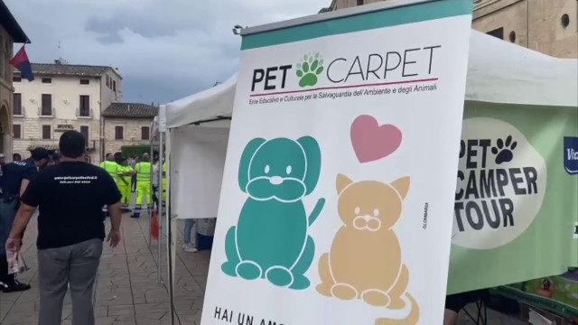 pet-camper-tour,-tappa-ad-assisi-per-la-campagna-contro-l’abbandono