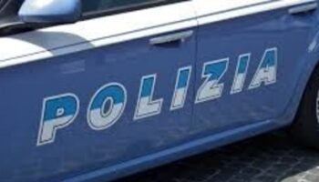 sotto-l’effetto-del-crack-mangia-il-gatto-convinto-sia-pieno-di-microspie