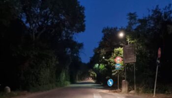 a-palermo-torna-l’illuminazione-nel-parco-della-favorita