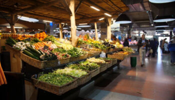 agroalimentare,-cresce-la-fiducia-nelle-biotecnologie