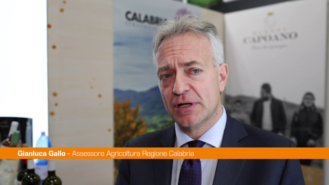 calabria,-gallo-“efficace-azione-di-promozione-nel-mondo”