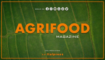 agrifood-magazine-–-28/6/2023
