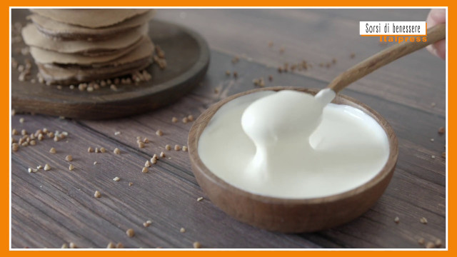 sorsi-di-benessere-–-una-gustosa-rivisitazione-della-salsa-tzatziki