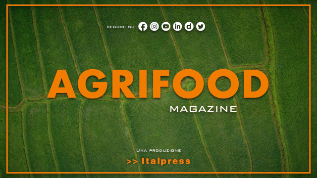 agrifood-magazine-–-5/7/2022