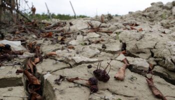 alluvione-in-emilia-romagna,-danni-alla-cultura-per-65-milioni