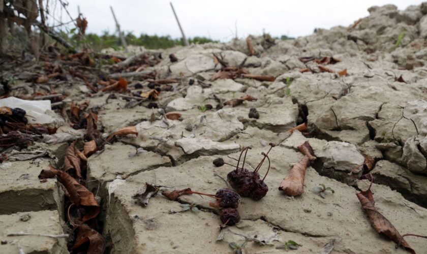 alluvione-in-emilia-romagna,-danni-alla-cultura-per-65-milioni