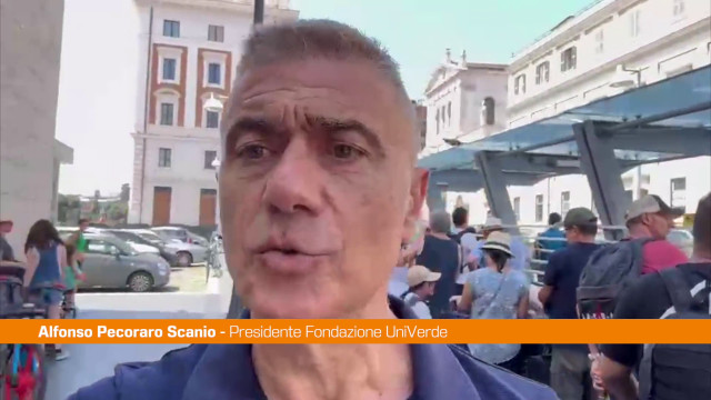 pecoraro-scanio-“file-assurde-per-i-taxi-a-roma,-si-risolva-emergenza”
