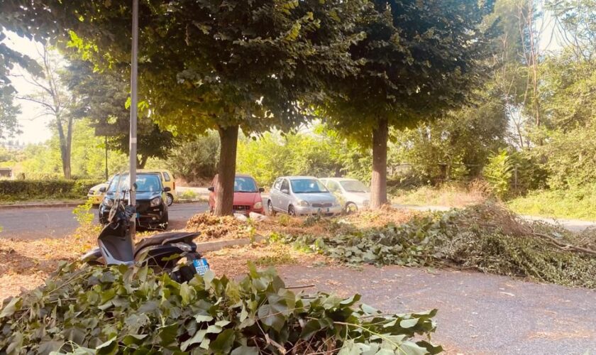 roma-san-basilio,-intervento-straordinario-di-cura-del-verde-e-decoro