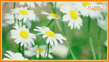 sorsi-di-benessere-–-una-tisana-fredda-per-un-ventre-piatto