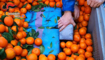 tonnellate-di-droga-tra-la-frutta,-7-misure-cautelari-a-napoli