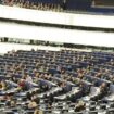 dall’europarlamento-via-libera-alla-legge-per-il-ripristino-della-natura