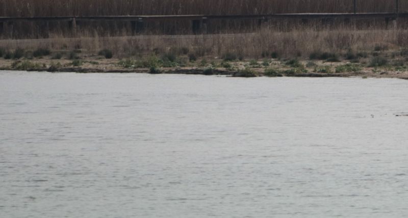 lago-di-garda,-50-mila-euro-dalla-regione-veneto-per-la-sicurezza-della-navigazione