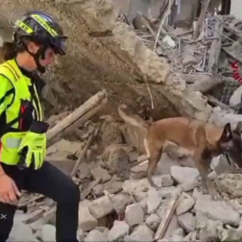 unita-cinofile-al-lavoro-dopo-crollo-palazzina-a-torre-del-greco