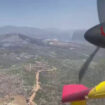 emergenza-incendi-boschivi-in-grecia,-le-immagini