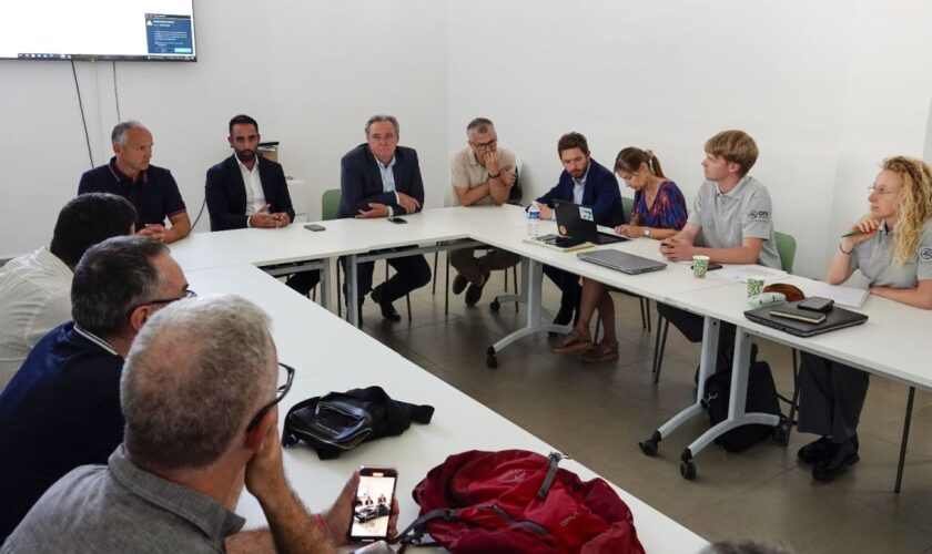 porcu-“cervo-sardo-va-protetto,-serve-una-gestione-attenta”