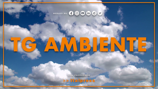tg-ambiente-–-23/7/2023