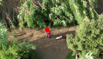 incendi,-drone-individua-piromane-in-calabria.-le-immagini