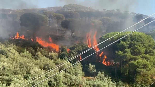 incendi-nel-palermitano,-le-immagini-del-rogo-a-monreale