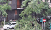 milano-in-ginocchio.-tetti-scoperchiati-e-alberi-caduti-[video]