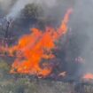 gli-incendi-devastano-palermo-e-la-provincia,-tre-morti-per-i-roghi
