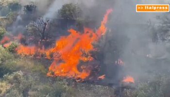gli-incendi-devastano-palermo-e-la-provincia,-tre-morti-per-i-roghi