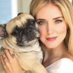 e-morta-mati,-il-cane-di-chiara-ferragni