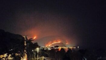 niente-carne-e-uova,-ordinanza-anti-diossina-a-palermo