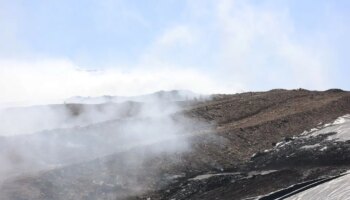 ordinanza-anti-diossina-del-sindaco-lagalla,-evitare-carne-e-uova