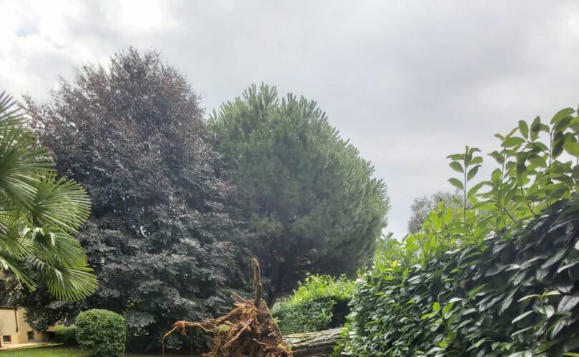 maltempo-in-lombardia,-superati-gli-800-milioni-di-danni