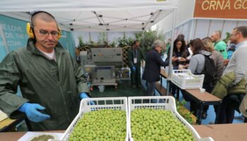 beduschi-“regione-lombardia-finanzia-nuovo-frantoio”