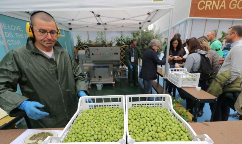 beduschi-“regione-lombardia-finanzia-nuovo-frantoio”