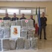 intercettato-al-porto-di-civitavecchia-maxi-carico-di-droga