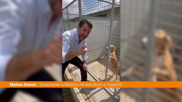 salvini-visita-canile-“importante-aprire-le-porte-ai-cuccioli”