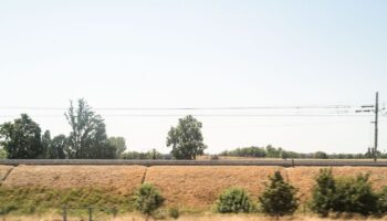 confagricoltura-“necessari-piano-pluriennale-e-valorizzazione-del-grano”