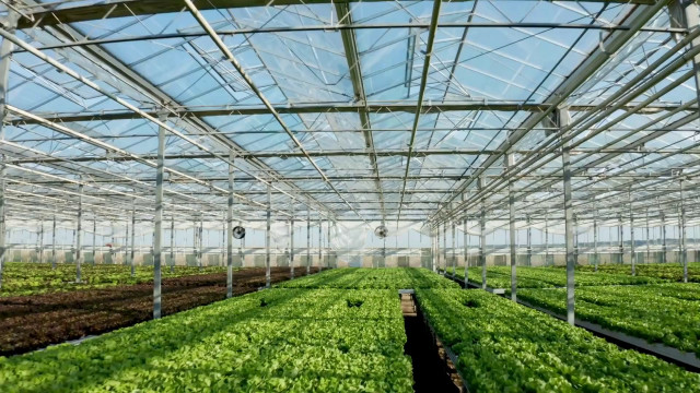 le-aziende-agricole-sono-sempre-piu-green