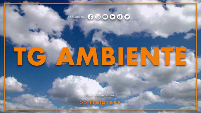tg-ambiente-–-6/8/2023