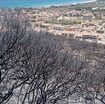 la-sardegna-brucia,-devastati-700-ettari 