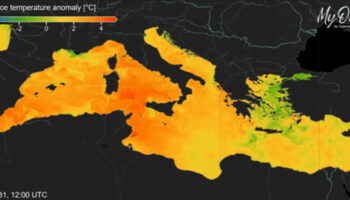 luglio-e-stato-il-mese-piu-caldo-di-sempre