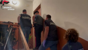 in-manette-tre-topi-d’appartamento-albanesi