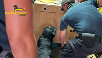 nascondeva-in-un-box-144-chili-di-droga,-30enne-arrestato-a-palermo