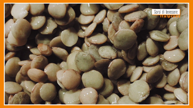 sorsi-di-benessere-–-una-gustosa-crema-vegana-a-base-di-lenticchie