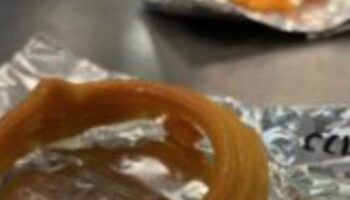 realizzati-i-calamari-stampati-in-3d-a-base-di-alghe