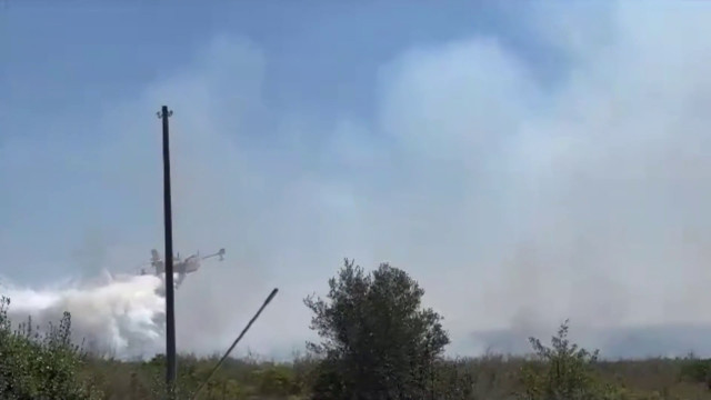 in-fiamme-cinque-ettari-di-macchia-mediterranea-nel-tarantino