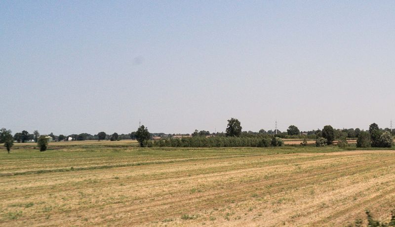 lithuania-offers-new-access-to-export-wheat-from-ukraine